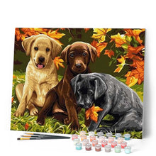 Laden Sie das Bild in den Galerie-Viewer, Malen nach Zahlen für Erwachsene | Welpen und Herbstlaub | Figured'Art