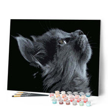 Laden Sie das Bild in den Galerie-Viewer, Malen nach Zahlen für Erwachsene | Katze in schwarz und grau | Figured'Art
