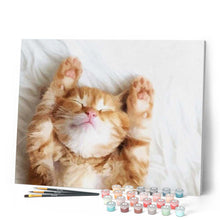 Laden Sie das Bild in den Galerie-Viewer, Malen nach Zahlen für Erwachsene | Schlafende Katze | Figured'Art