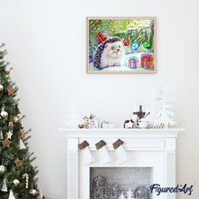 Laden Sie das Bild in den Galerie-Viewer, Malen nach Zahlen für Erwachsene | Igel und Weihnachtsgeschenke | Figured'Art