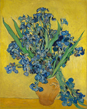 Laden Sie das Bild in den Galerie-Viewer, Diamond Painting - Vase mit Iris - Van Gogh