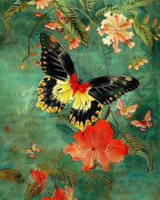 Laden Sie das Bild in den Galerie-Viewer, Diamond Painting - Troide Minos Schmetterling – 40 x 50 cm auf Keilrahmen gespannt