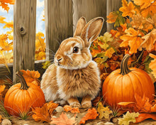 Laden Sie das Bild in den Galerie-Viewer, Diamond Painting - Hase und Kürbisse – 40 x 50 cm auf Keilrahmen gespannt