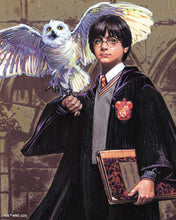 Laden Sie das Bild in den Galerie-Viewer, Diamond Painting - Harry Potter und Hedwig