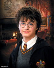 Laden Sie das Bild in den Galerie-Viewer, Diamond Painting - Porträt von Harry Potter