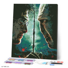 Laden Sie das Bild in den Galerie-Viewer, Diamond Painting - Harry Potter gegen Lord Voldemort