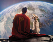 Laden Sie das Bild in den Galerie-Viewer, Diamond Painting - Superman und Krypto