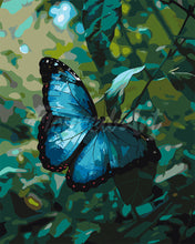 Laden Sie das Bild in den Galerie-Viewer, Malen nach Zahlen Figured'Art – Blauer Morphofalter
