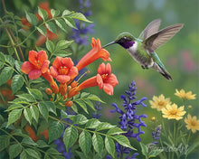 Laden Sie das Bild in den Galerie-Viewer, Malen nach Zahlen Figured'Art – Kolibri-Oase