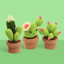 Laden Sie das Bild in den Galerie-Viewer, Amigurumi Häkelset - Kaktus-Trio Figured'Art
