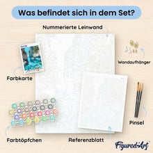 Laden Sie das Bild in den Galerie-Viewer, Malen nach Zahlen für Erwachsene | Blumen und Fahrrad | Figured'Art