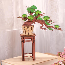 Laden Sie das Bild in den Galerie-Viewer, 3D Puzzle - Immergrüner Kiefern-Bonsai