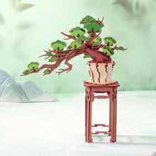 Laden Sie das Bild in den Galerie-Viewer, 3D Puzzle - Immergrüner Kiefern-Bonsai