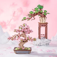 Laden Sie das Bild in den Galerie-Viewer, 3D Puzzle - Immergrüner Kiefern-Bonsai