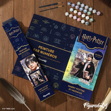 Laden Sie das Bild in den Galerie-Viewer, Harry Potter und Hedwig