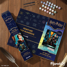 Laden Sie das Bild in den Galerie-Viewer, Harry Potter - Das Trio und der Feuerkelch