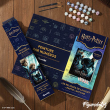 Laden Sie das Bild in den Galerie-Viewer, Harry Potter und die Heiligtümer des Todes - Teil 1 - Plakat