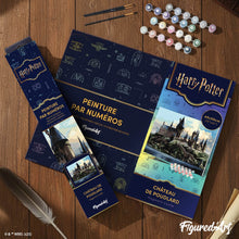 Laden Sie das Bild in den Galerie-Viewer, Harry Potter - Hogwarts-Schloss
