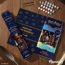 Laden Sie das Bild in den Galerie-Viewer, Harry Potter - Winkelgasse