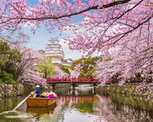 Laden Sie das Bild in den Galerie-Viewer, Malen nach Zahlen für Erwachsene | Kirschblüten am Fluss in Japan | Figured'Art