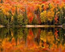 Laden Sie das Bild in den Galerie-Viewer, Malen nach Zahlen für Erwachsene | Reflexion im See im Herbst | Figured'Art