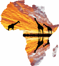 Laden Sie das Bild in den Galerie-Viewer, Malen nach Zahlen für Erwachsene | Afrika und Giraffen | Figured'Art