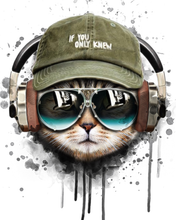 Laden Sie das Bild in den Galerie-Viewer, Malen nach Zahlen für Erwachsene | Coole Katze | Figured'Art