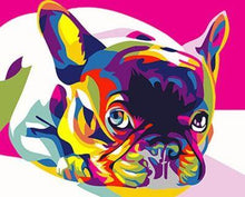 Laden Sie das Bild in den Galerie-Viewer, Malen nach Zahlen für Erwachsene | Mops Pop Art | Figured'Art