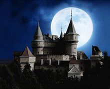 Laden Sie das Bild in den Galerie-Viewer, Malen nach Zahlen für Erwachsene | Schloss und Vollmond | Figured'Art