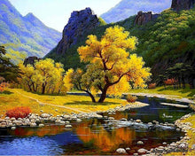 Laden Sie das Bild in den Galerie-Viewer, Malen nach Zahlen für Erwachsene | Stiller Fluss | Figured'Art