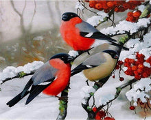 Laden Sie das Bild in den Galerie-Viewer, Malen nach Zahlen für Erwachsene | Rote Vögel 2 | Figured'Art