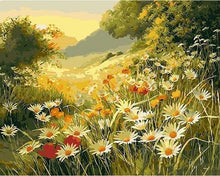 Laden Sie das Bild in den Galerie-Viewer, Malen nach Zahlen für Erwachsene | Blumen im Feld | Figured'Art