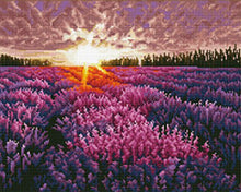 Laden Sie das Bild in den Galerie-Viewer, Diamond Painting – Lavendelfeld