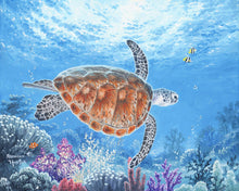 Laden Sie das Bild in den Galerie-Viewer, Malen nach Zahlen für Erwachsene | Schildkröte auf einer Ballade | Figured'Art