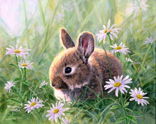 Laden Sie das Bild in den Galerie-Viewer, Malen nach Zahlen für Erwachsene | Kaninchen und Gänseblümchen | Figured'Art