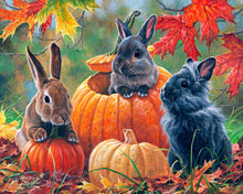 Laden Sie das Bild in den Galerie-Viewer, Malen nach Zahlen für Erwachsene | Kaninchen-Trio | Figured'Art