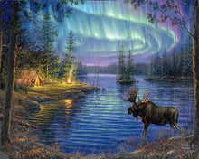 Laden Sie das Bild in den Galerie-Viewer, Malen nach Zahlen für Erwachsene | Elch und Aurora Borealis | Figured'Art