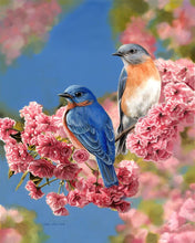 Laden Sie das Bild in den Galerie-Viewer, Malen nach Zahlen für Erwachsene | Blaues Vogelpärchen | Figured'Art
