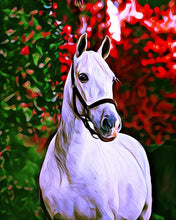 Laden Sie das Bild in den Galerie-Viewer, Diamond Painting – Weißes Pferd – 40 x 50 cm auf Keilrahmen gespannt | Figured'Art
