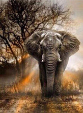 Laden Sie das Bild in den Galerie-Viewer, Diamond Painting – Elefant in der Savanne – 40 x 50 cm auf Keilrahmen gespannt | Figured'Art