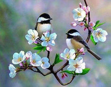 Laden Sie das Bild in den Galerie-Viewer, Diamond Painting – Kleine Vögel und weiße Blumen – 40 x 50 cm auf Keilrahmen gespannt | Figured'Art