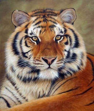 Laden Sie das Bild in den Galerie-Viewer, Diamond Painting – Tigerauge – 40 x 50 cm auf Keilrahmen gespannt | Figured'Art