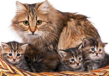 Laden Sie das Bild in den Galerie-Viewer, Malen nach Zahlen für Erwachsene | Katze und ihre Jungen | Figured'Art