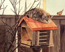 Laden Sie das Bild in den Galerie-Viewer, Malen nach Zahlen Erwachsene Liegende Katze Figured'Art
