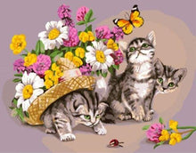 Laden Sie das Bild in den Galerie-Viewer, Malen nach Zahlen für Erwachsene | Spielende Katze mit Schmetterling | Figured'Art