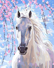 Laden Sie das Bild in den Galerie-Viewer, Malen nach Zahlen für Erwachsene | Pferd und weiße Blumen | Figured'Art