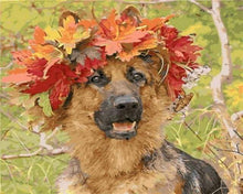 Laden Sie das Bild in den Galerie-Viewer, Malen nach Zahlen für Erwachsene | Hund im Herbst | Figured'Art