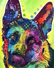 Laden Sie das Bild in den Galerie-Viewer, Malen nach Zahlen für Erwachsene | Bunter Hund mit Sternen | Figured'Art