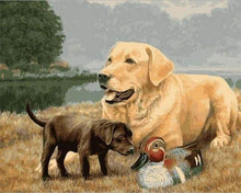 Laden Sie das Bild in den Galerie-Viewer, Malen nach Zahlen für Erwachsene | Golden Retriever Hund | Figured'Art