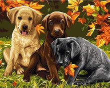 Laden Sie das Bild in den Galerie-Viewer, Malen nach Zahlen für Erwachsene | Welpen und Herbstlaub | Figured'Art